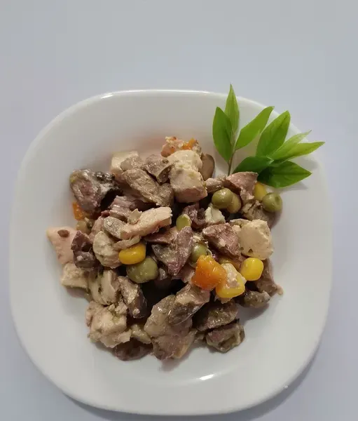 Chicken recipe wet food with visible meat chunks served on a square plate