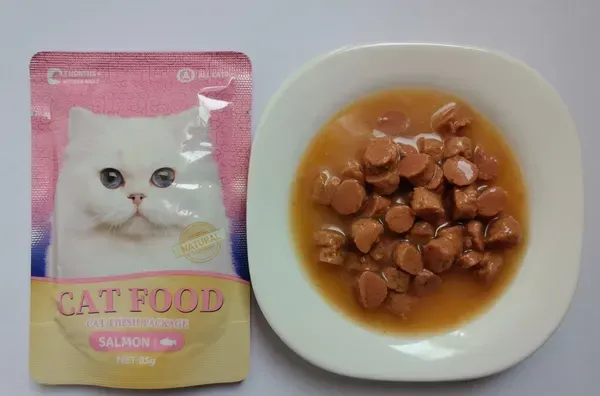 Cat food pouch with beef chunks in a rich gravy