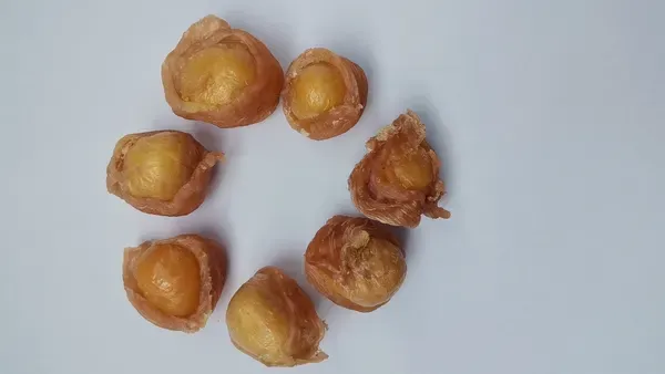 Small round golden baked pet biscuits scattered on a grey background