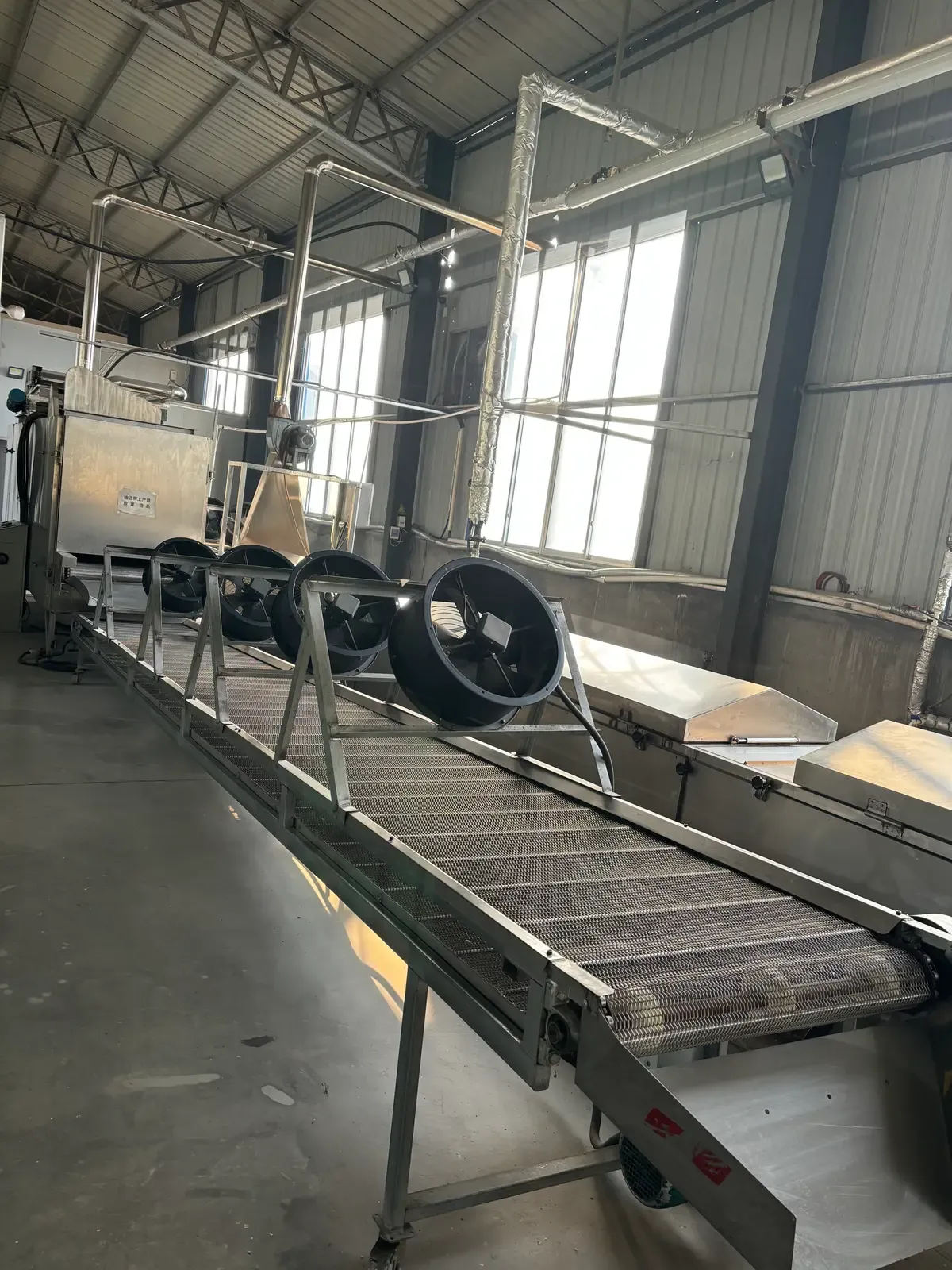 Belt conveyor feeding the drying tunnel